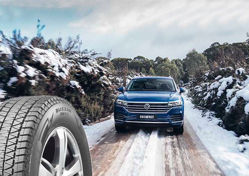 BRIDGESTONE_BLIZZAK_DM-V3.jpg