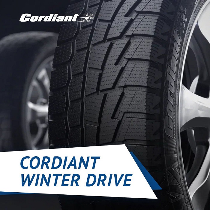 Cordiant_Winter_drive_2.jpg