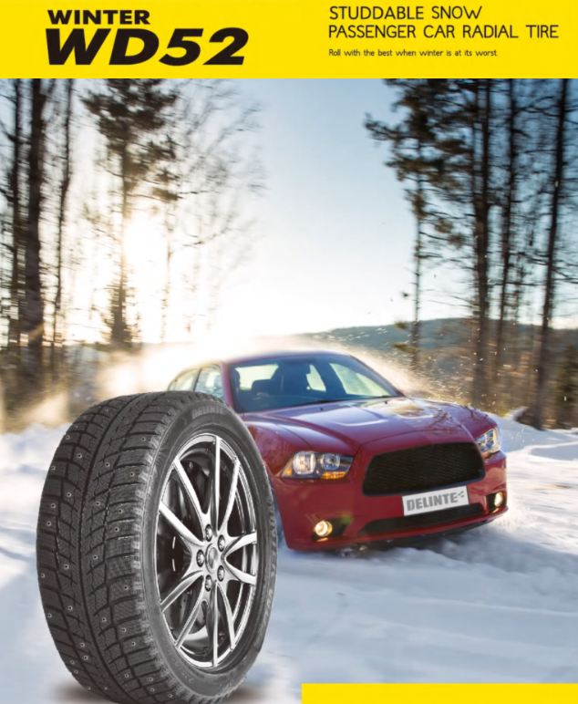 delinte_winter_wd_52.png delinte_winter_wd_52.png