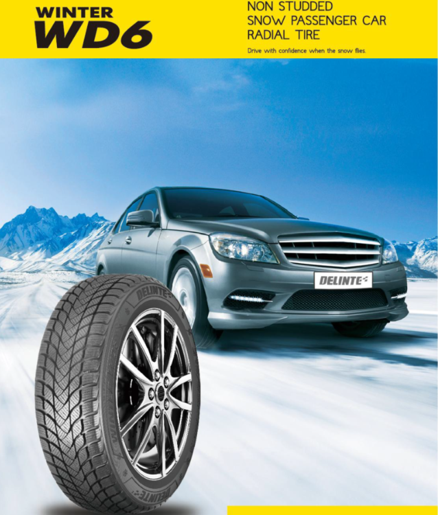 delinte_winter_wd_6 (1).png delinte_winter_wd_6 (1).png